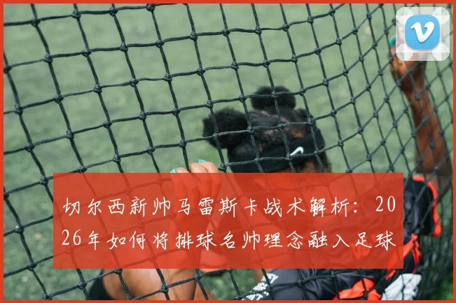 切尔西新帅马雷斯卡战术解析：2026年如何将排球名帅理念融入足球执教，赋闲期自我提升方法揭秘