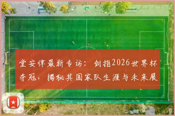 堂安律最新专访：剑指2026世界杯夺冠，揭秘其国家队生涯与未来展望
